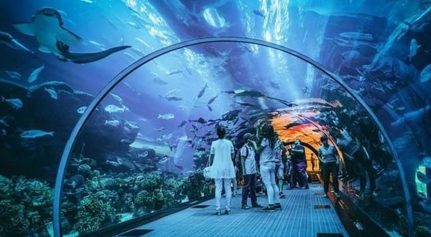 S.E.A. Aquarium, Sentosa Island, Singapore